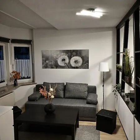 Apartment Bad Ems 아파트 *